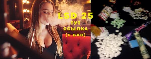 ПСИЛОЦИБИНОВЫЕ ГРИБЫ Ельня