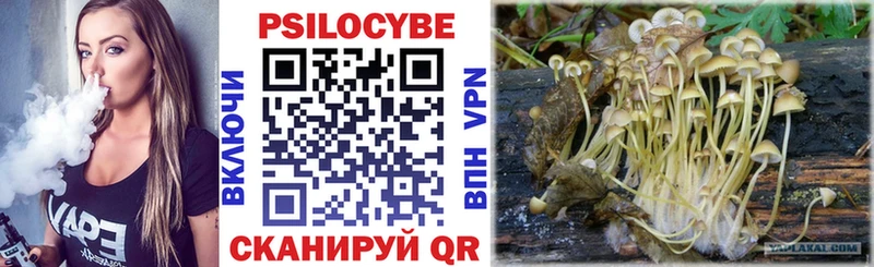 Псилоцибиновые грибы MAGIC MUSHROOMS  закладки  Заволжье 