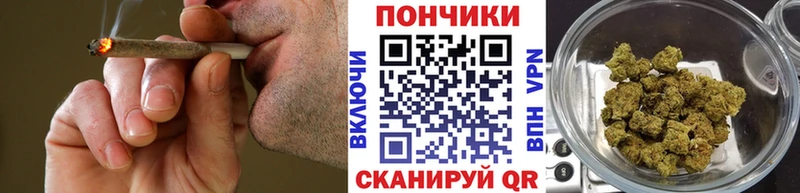 дарнет шоп  Заволжье  MEGA   Бошки марихуана Amnesia 